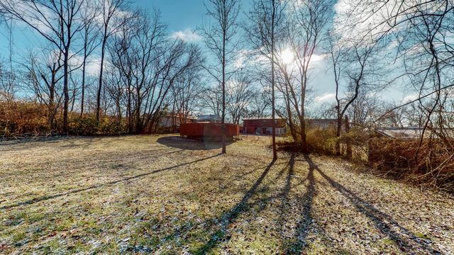 a view of backyard with tree
