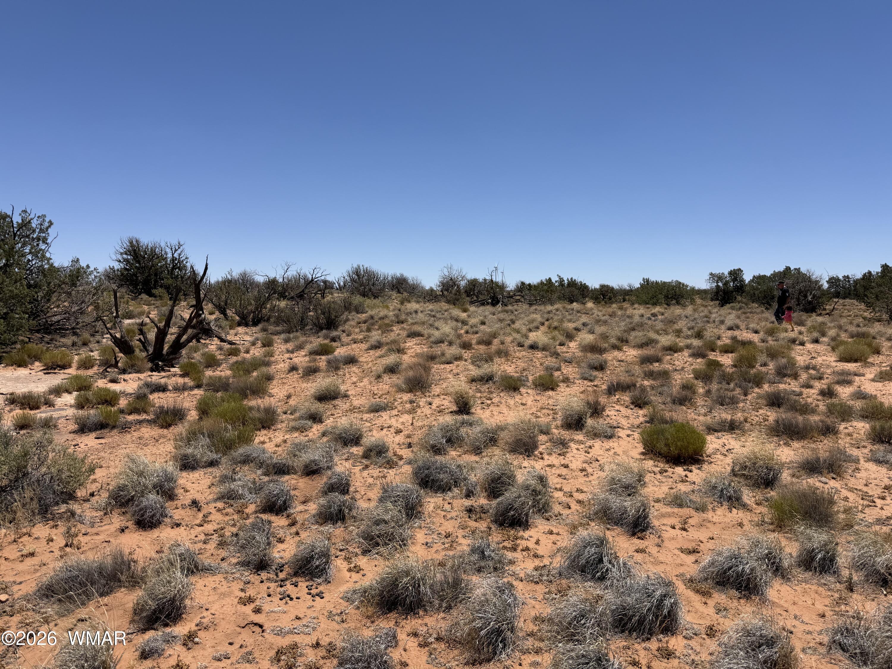 Lot 276 Chev Canyon Ranch, Unit 3 Overgaard, AZ 85933 - Photo 10 of 18