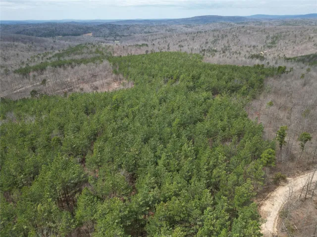 $165,000 | 0 Madison Cr, Fredericktown, MO 63645