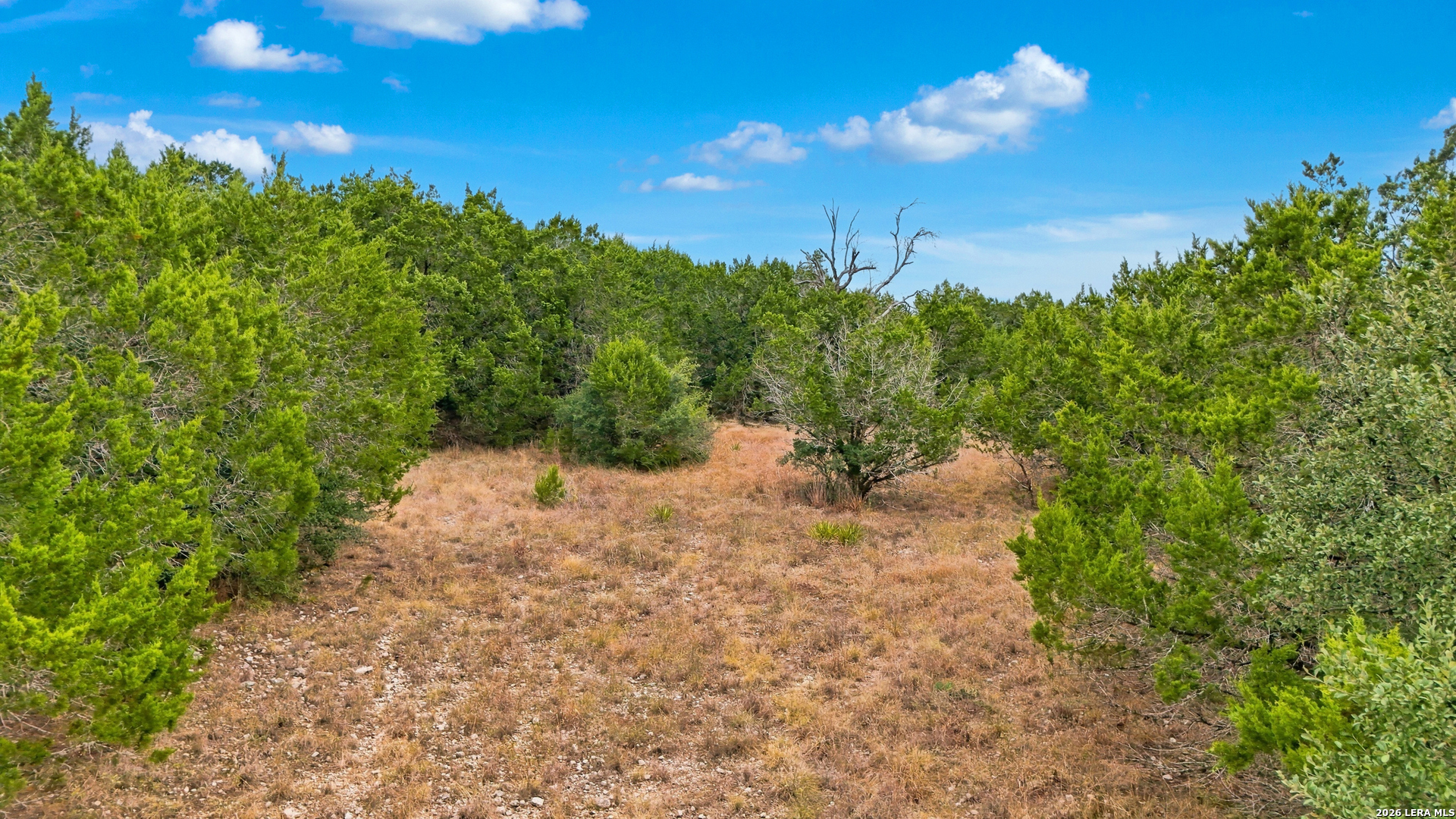336 Lily Street Spring Branch, TX 78070 - Photo 11 of 18 Gallery Image 11