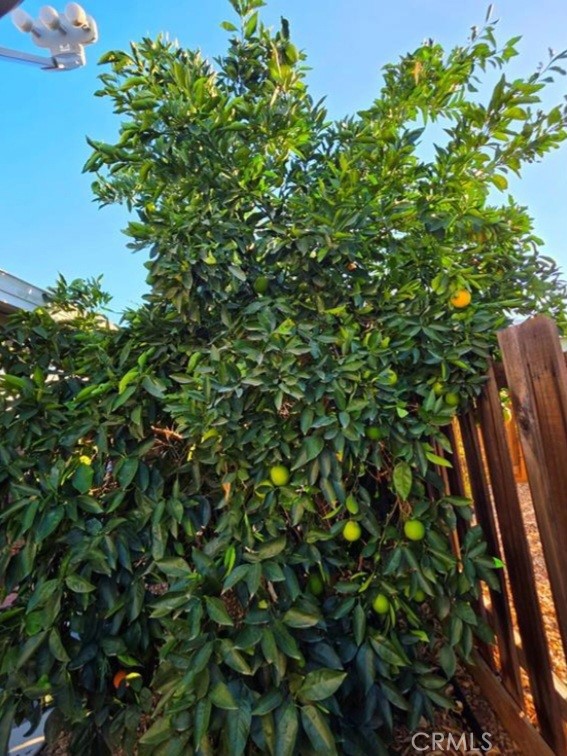 27250 Murrieta Road, Unit 390 Menifee, CA 92586 - Photo 30 of 30 a view of a tree