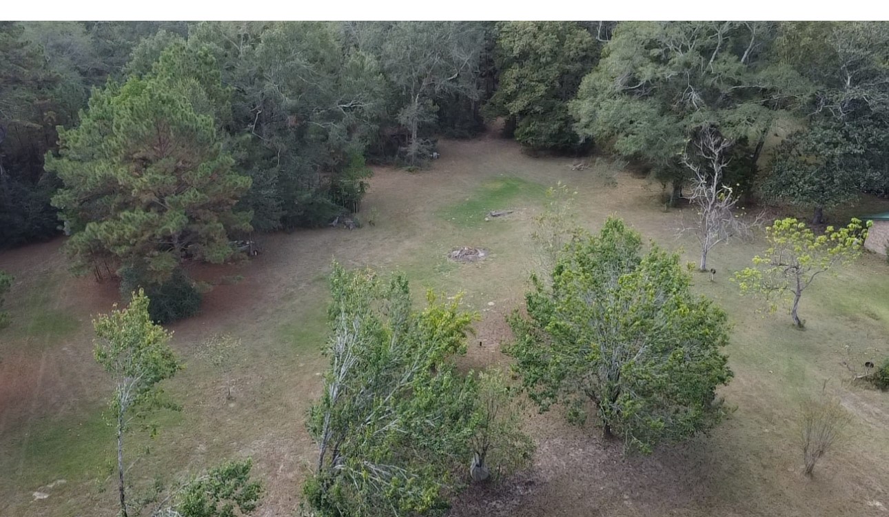 3680 Holly Grove Road Livingston, TX 77351 - Photo 24 of 24