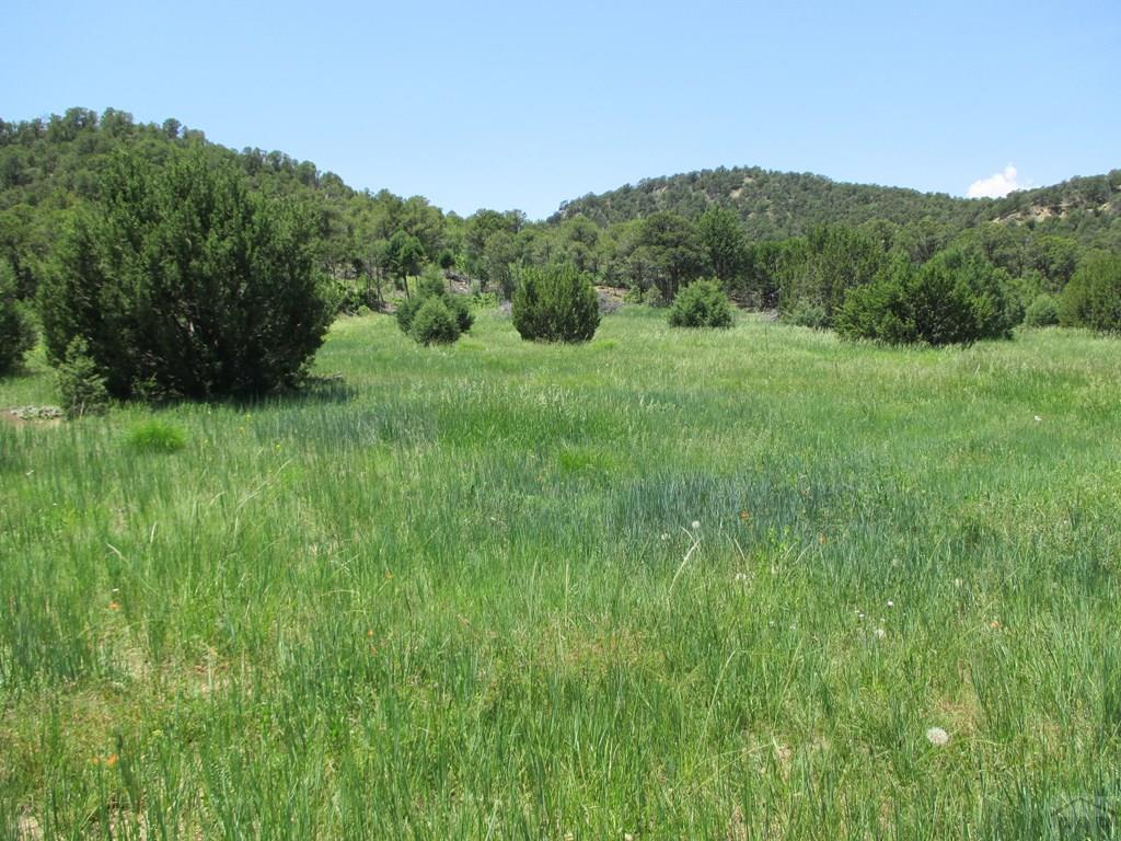 0 Co Road Trinidad, CO 81082 - Photo 31 of 64 Gallery Image 31