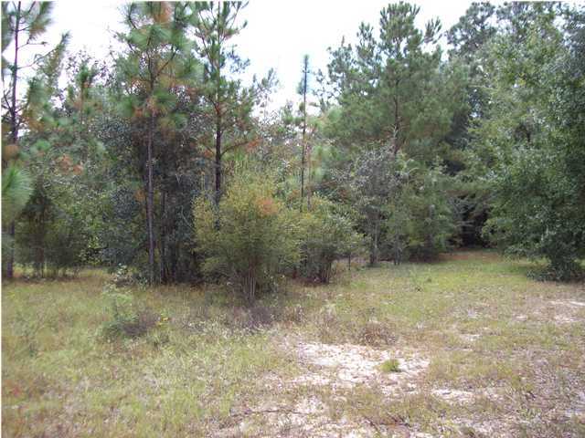0 John King Road Crestview, FL 32539 - Photo 1 of 1 Gallery Image 1