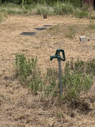 a house with trees in the background