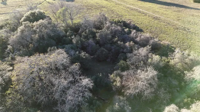 a view of a lake with lots of trees