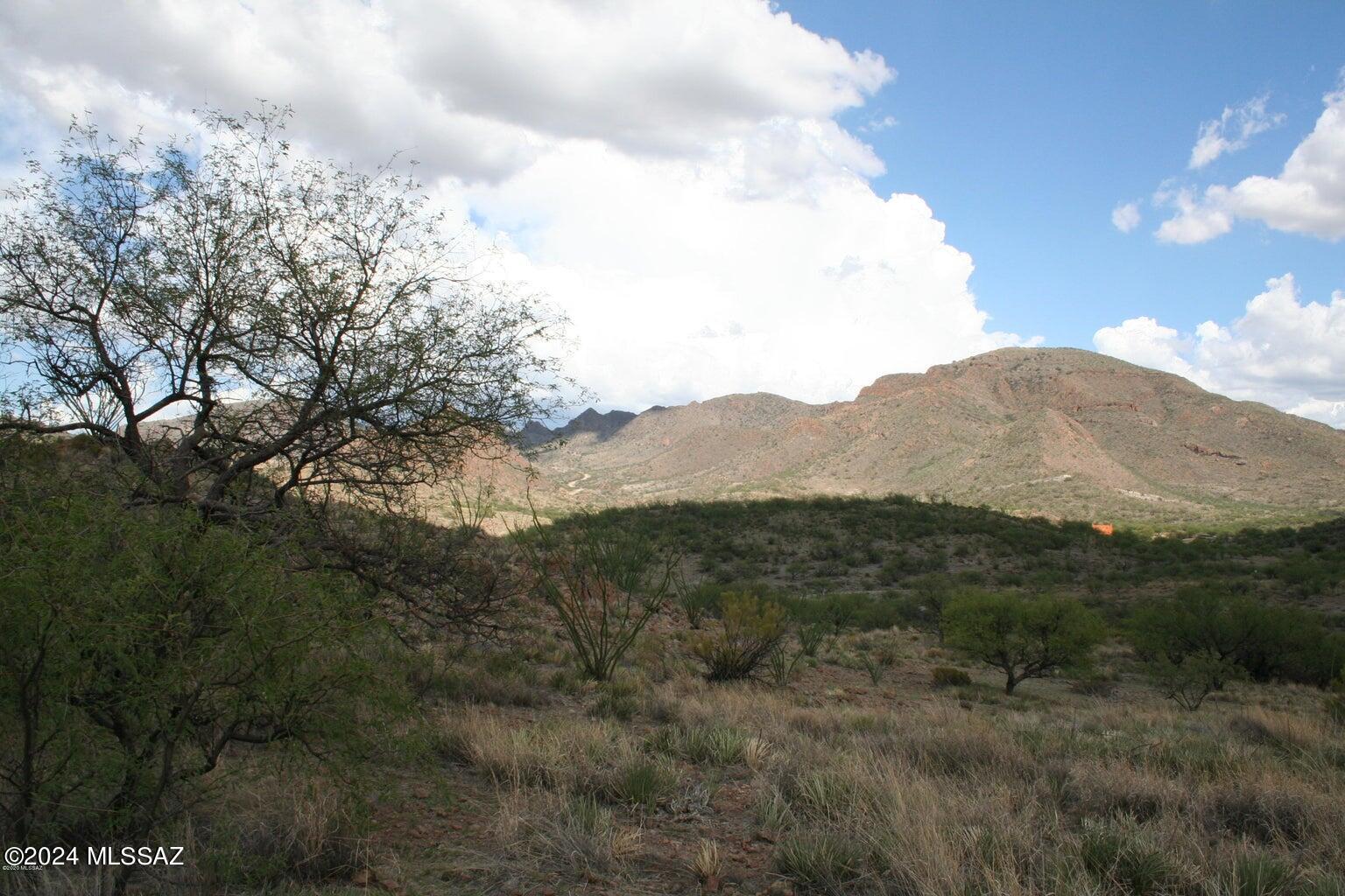 80 Morning Star Drive Rio Rico, AZ 85648 - Photo 19 of 30