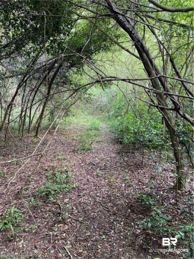0 Aubrey Lane Chunchula, AL 36521 - Photo 7 of 7