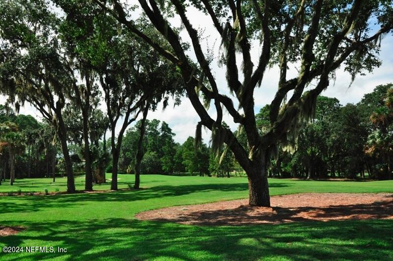 24629 Deer Trace Drive Ponte Vedra Beach, FL 32082 - Photo 38 of 45 a view of a park with trees