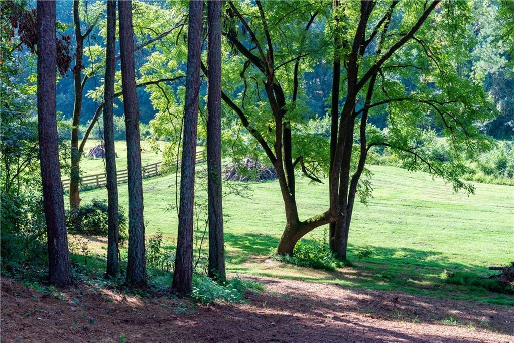 1783 4 Mile Church Road Ball Ground, GA 30107 - Photo 8 of 52