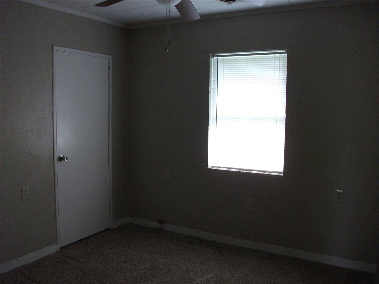 155 Hinton Road Counce, TN 38326 - Photo 8 of 12 Gallery Image 8