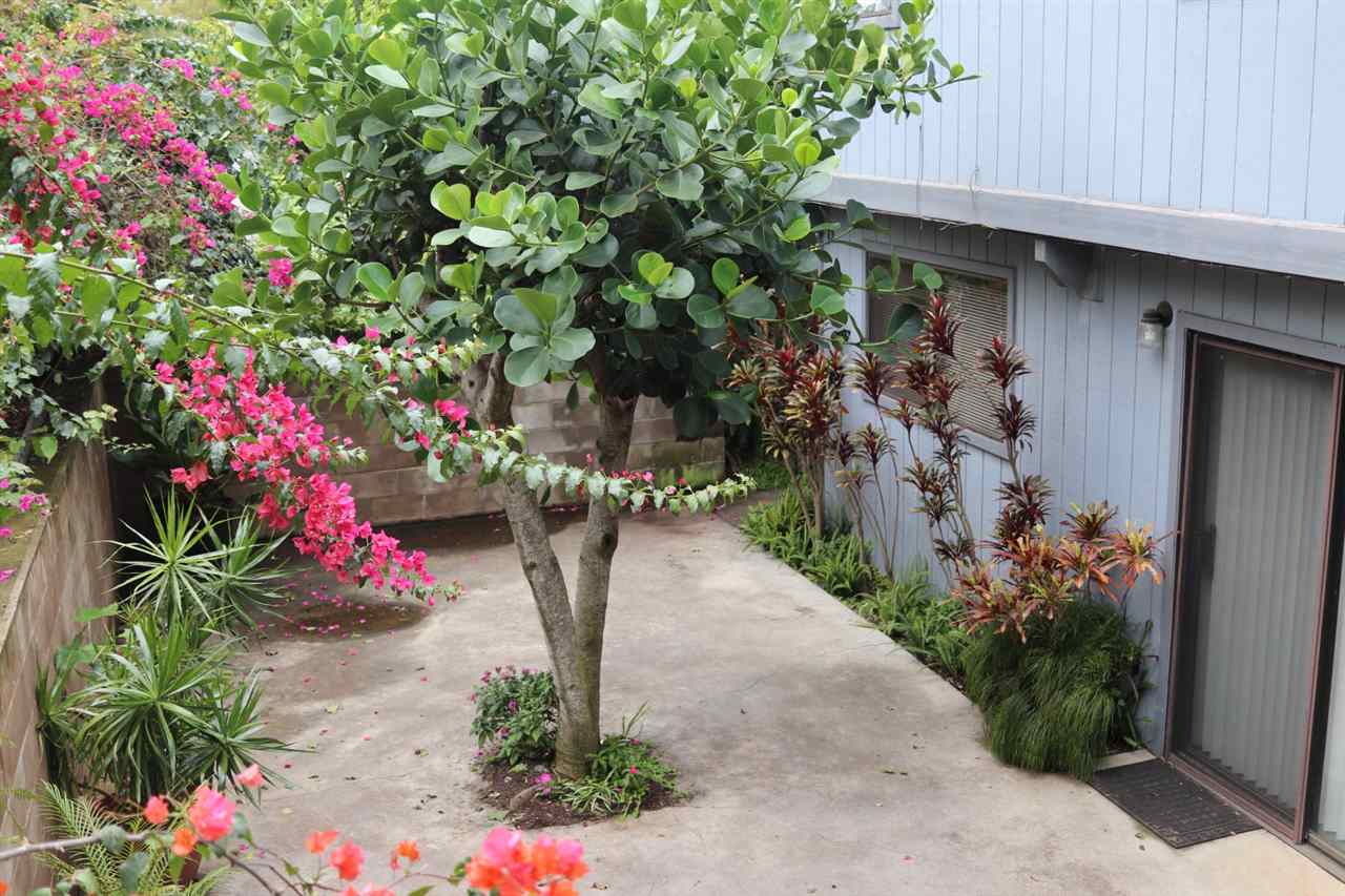 3719 Lower Kula Road Kula, HI 96790 - Photo 15 of 30 Gallery Image 15