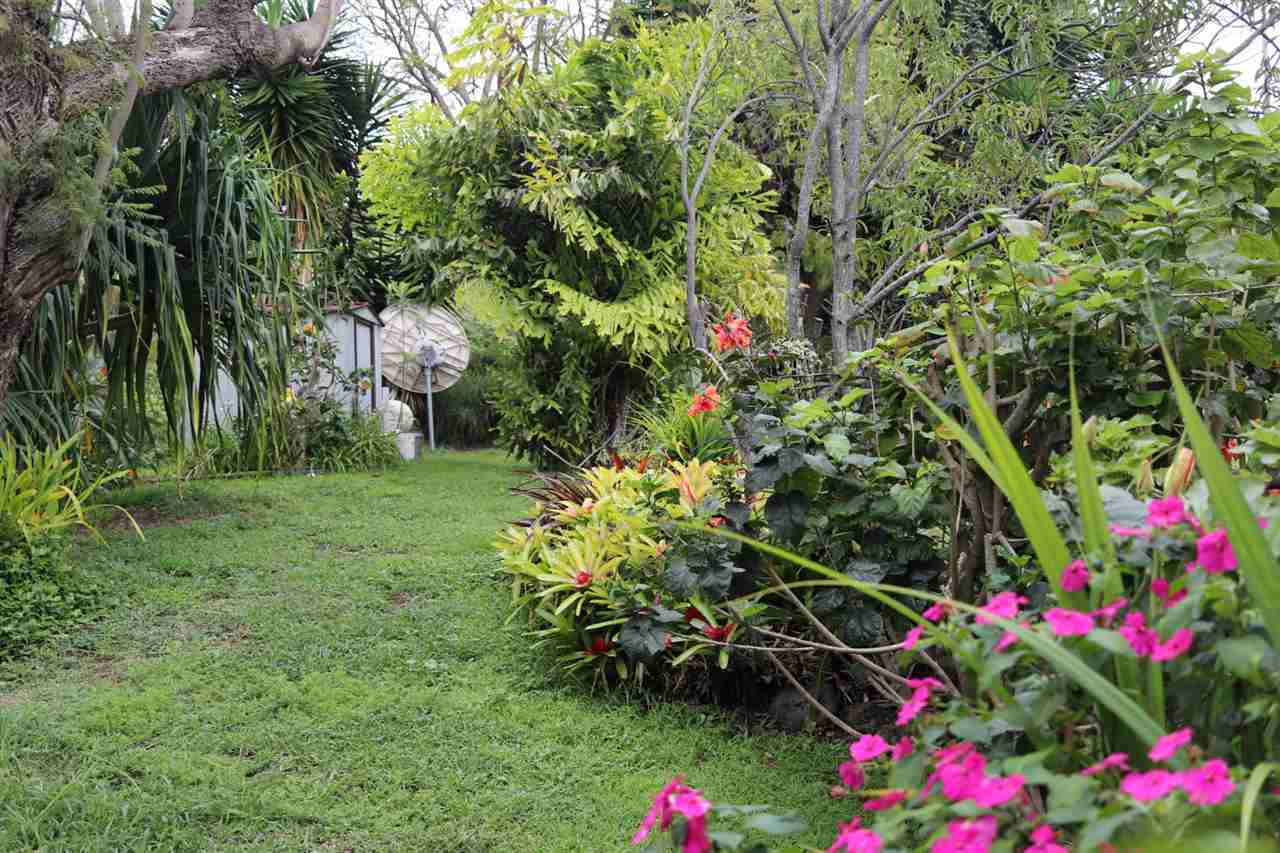 3719 Lower Kula Road Kula, HI 96790 - Photo 20 of 30 South side looking mauka to Haleakala