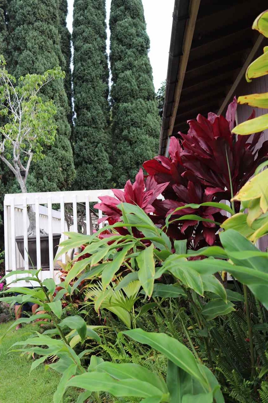 3719 Lower Kula Road Kula, HI 96790 - Photo 25 of 30 Gallery Image 25