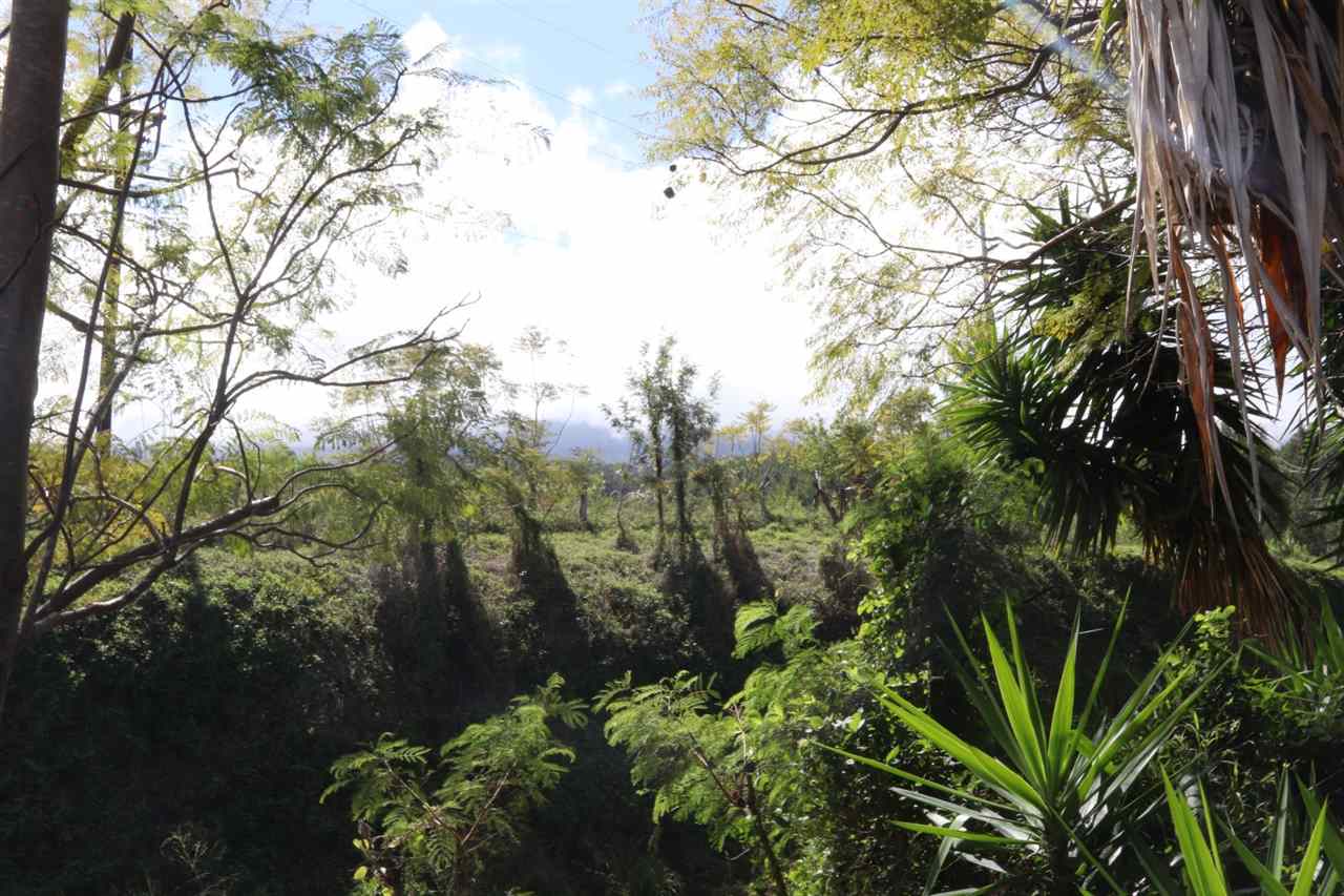 3719 Lower Kula Road Kula, HI 96790 - Photo 30 of 30 Gallery Image 30
