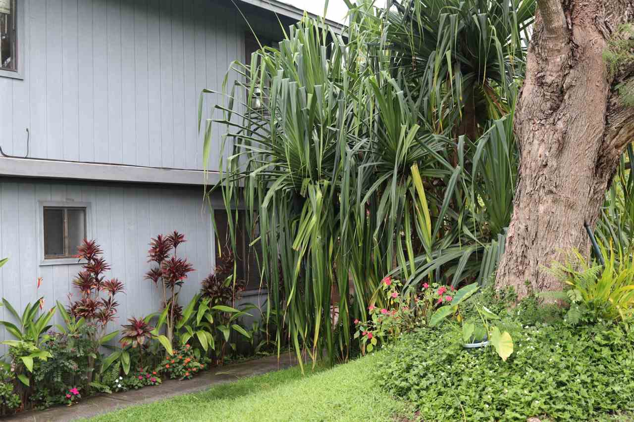 3719 Lower Kula Road Kula, HI 96790 - Photo 6 of 30 South side