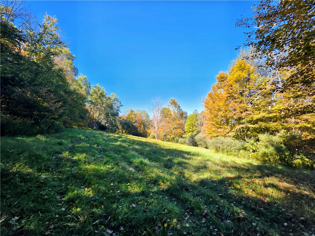2385 Potter Road Greenwood, NY 14839 - Photo 42 of 50 Gallery Image 42