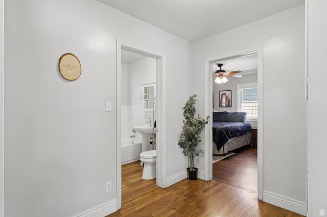 85 North 800 West Provo, UT 84601 - Photo 13 of 25 Hallway with wood-finish flooring, white painted walls, and white trim