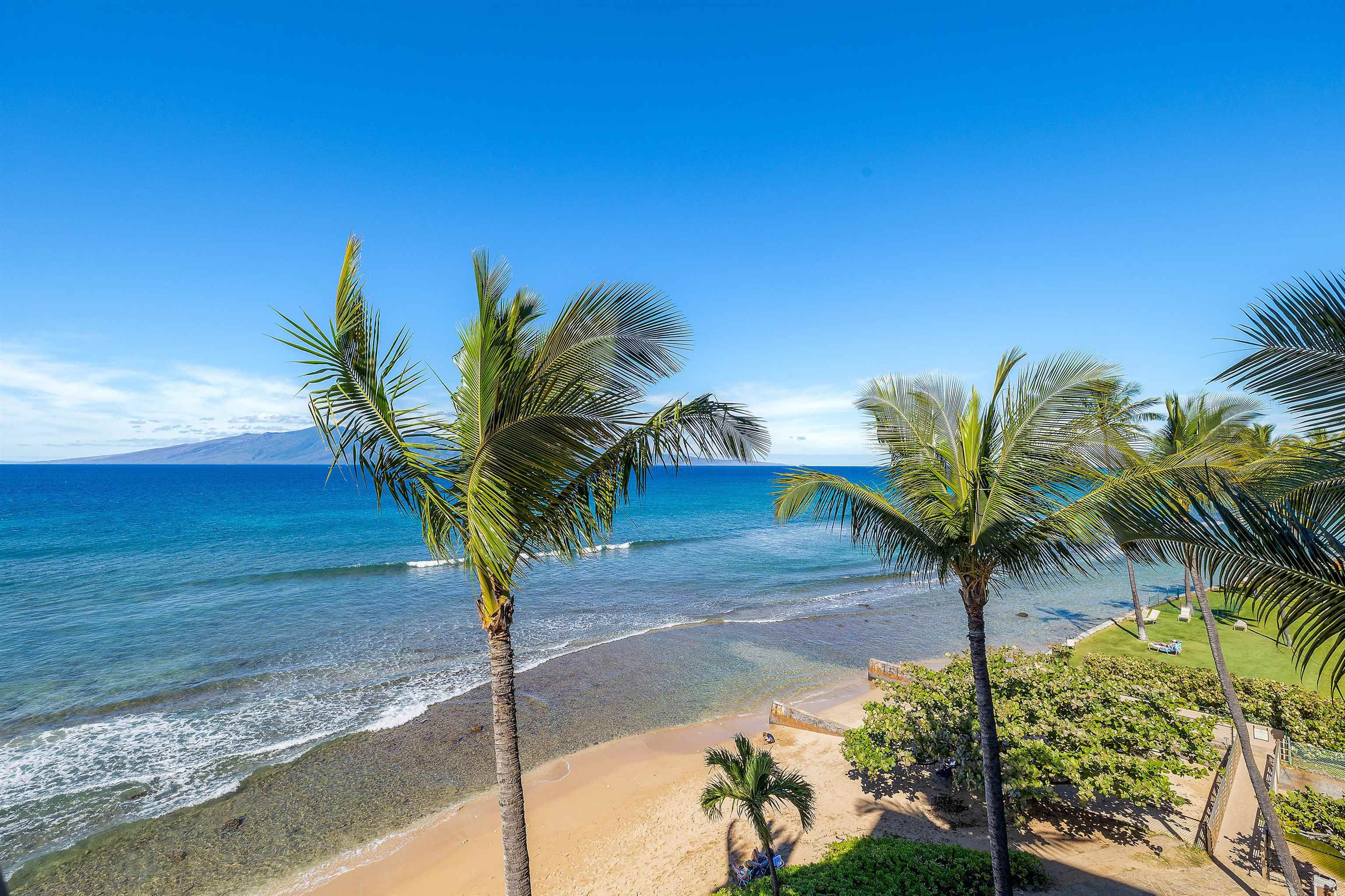 3445 Lower Honoapiilani Road, Unit 502 Lahaina, HI 96761 - Photo 42 of 50 a view of a palm tree with flower plants