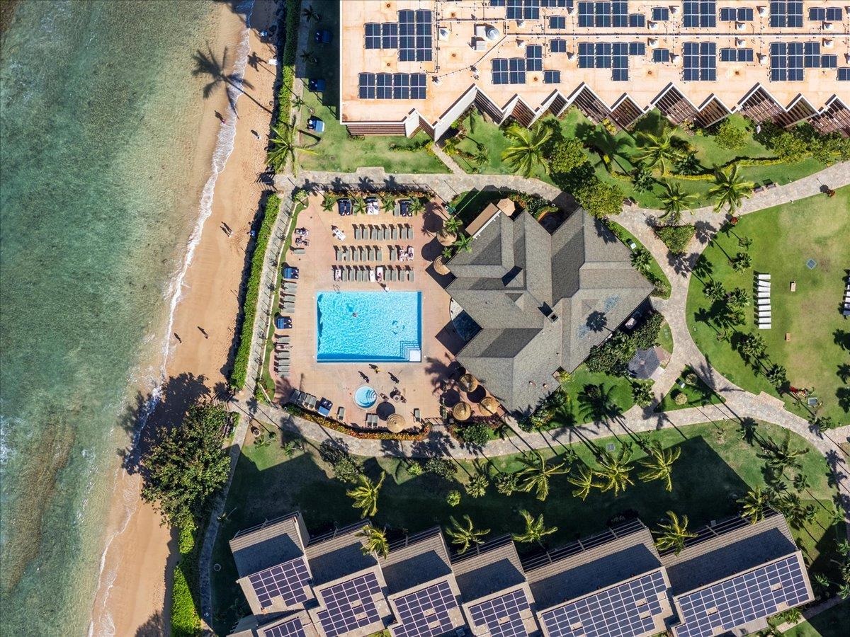3445 Lower Honoapiilani Road, Unit 502 Lahaina, HI 96761 - Photo 45 of 50 an aerial view of a house with plants and large trees