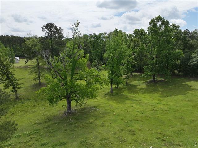 60277 Leander Lane Amite, LA 70422 - Photo 13 of 50
