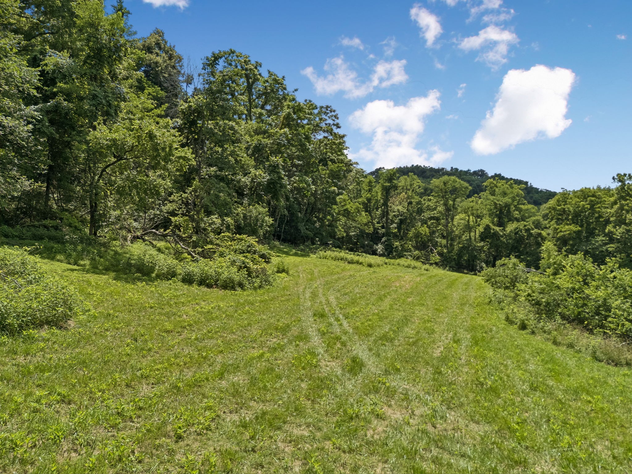 2268 North Berrys Chapel Road Franklin, TN 37069 - Photo 15 of 16 a view of a field with a tree in the background