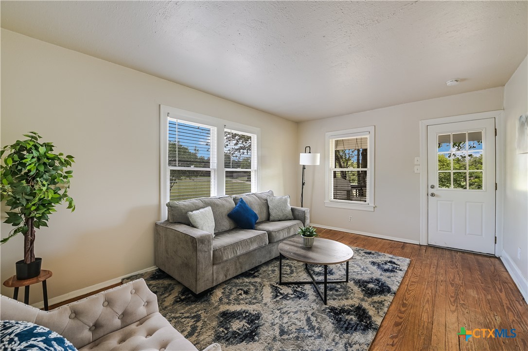 600 County Road 152 Georgetown, TX 78626 - Photo 6 of 24 a living room with furniture and a potted plant