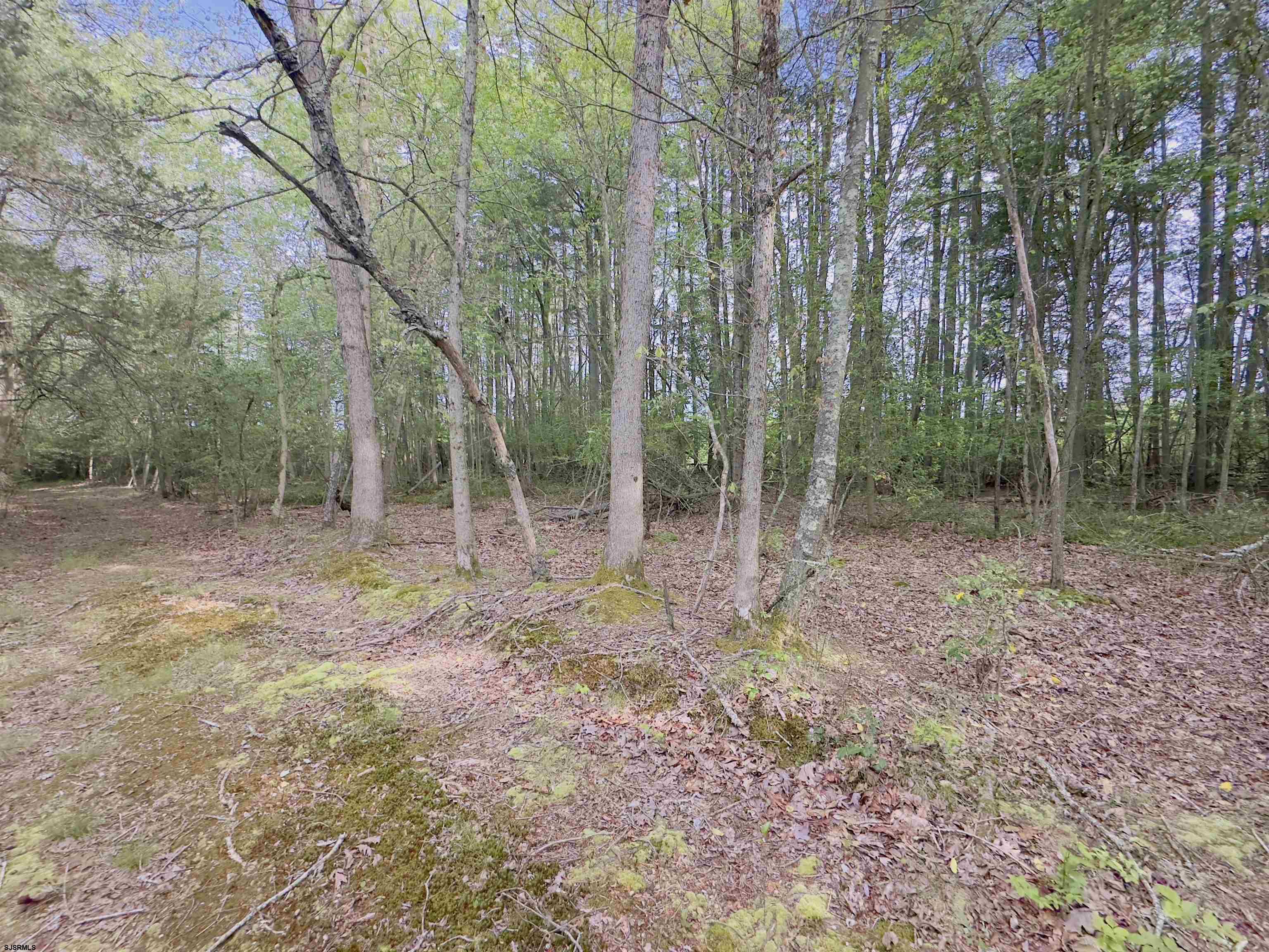 432 Pancoast Mill Road Buena, NJ 08310 - Photo 11 of 36 Gallery Image 11