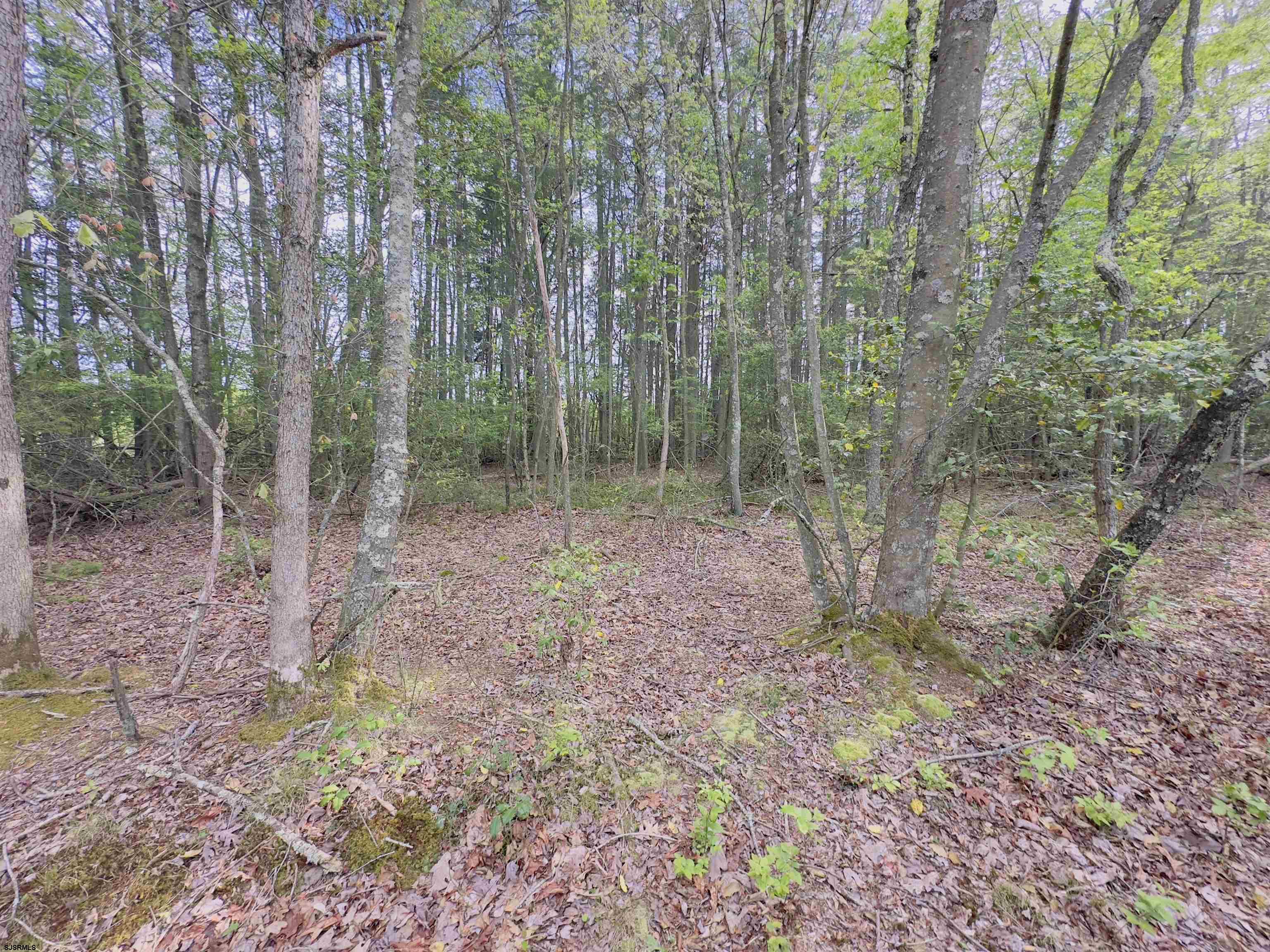 432 Pancoast Mill Road Buena, NJ 08310 - Photo 12 of 36 Gallery Image 12