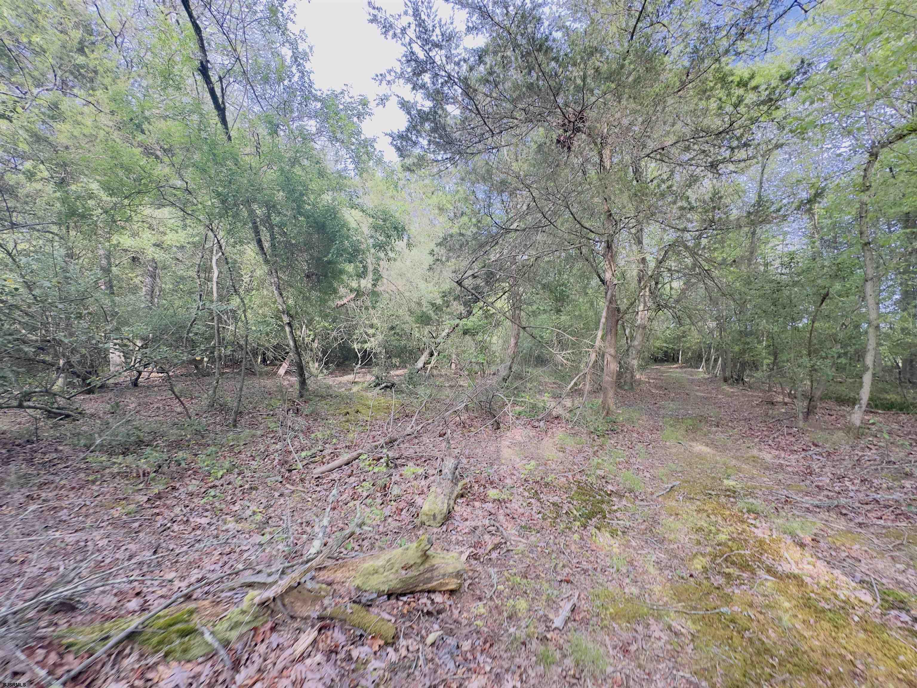 432 Pancoast Mill Road Buena, NJ 08310 - Photo 13 of 36 Gallery Image 13