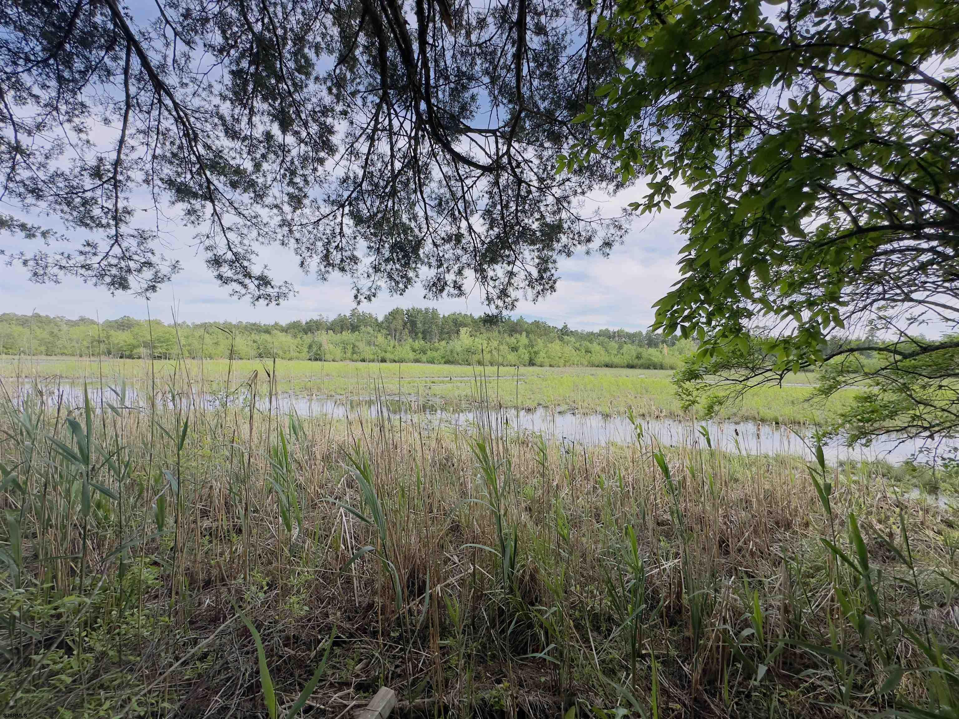 432 Pancoast Mill Road Buena, NJ 08310 - Photo 14 of 36 Gallery Image 14