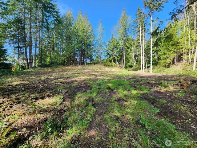 a view of outdoor space with trees