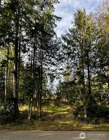 a view of a yard in front of the house