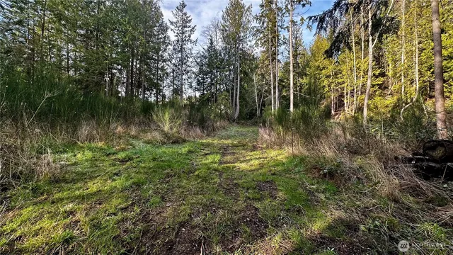 a view of lake with green space