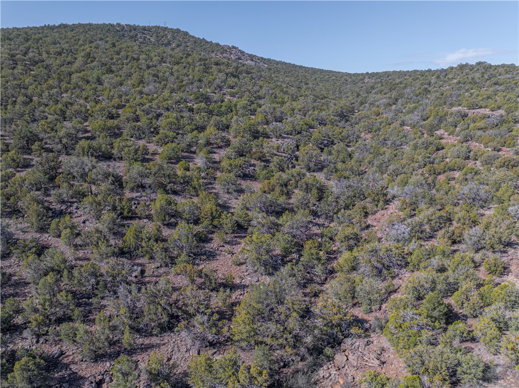 34745 West Running Shadow Road Seligman, AZ 86337 - Photo 21 of 52