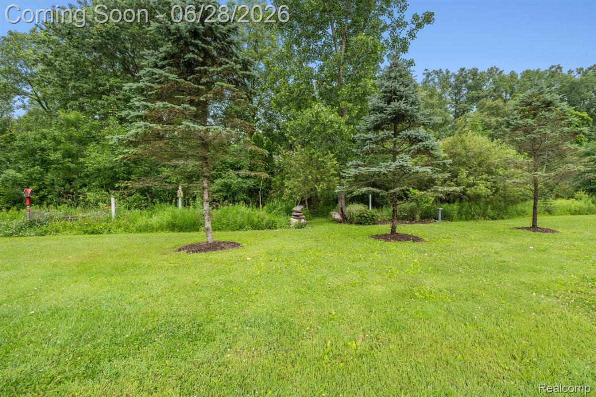 125 Olde Franklin Road Howell, MI 48855 - Photo 14 of 57 Walking trails through property