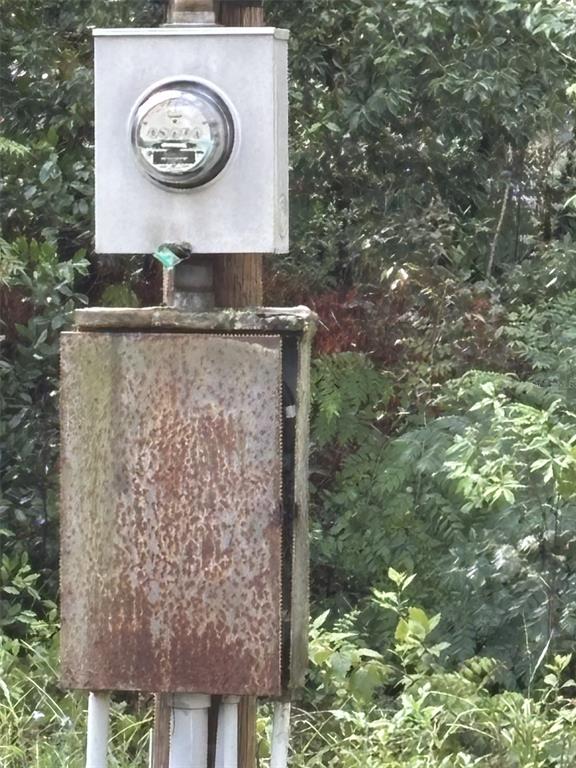 12506 Walton Avenue New Port Richey, FL 34654 - Photo 9 of 24