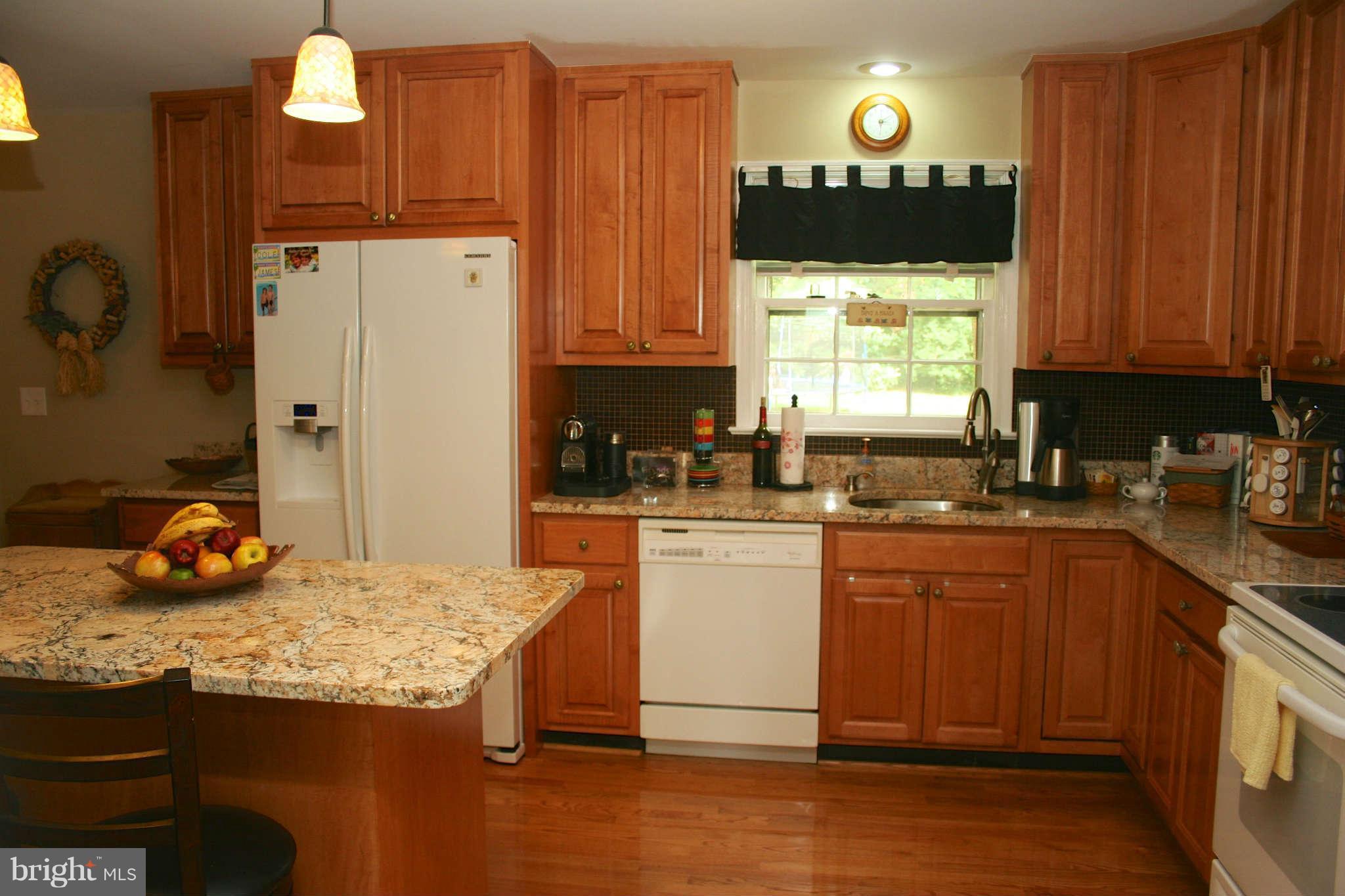 Beautiful Gourmet Kitchen