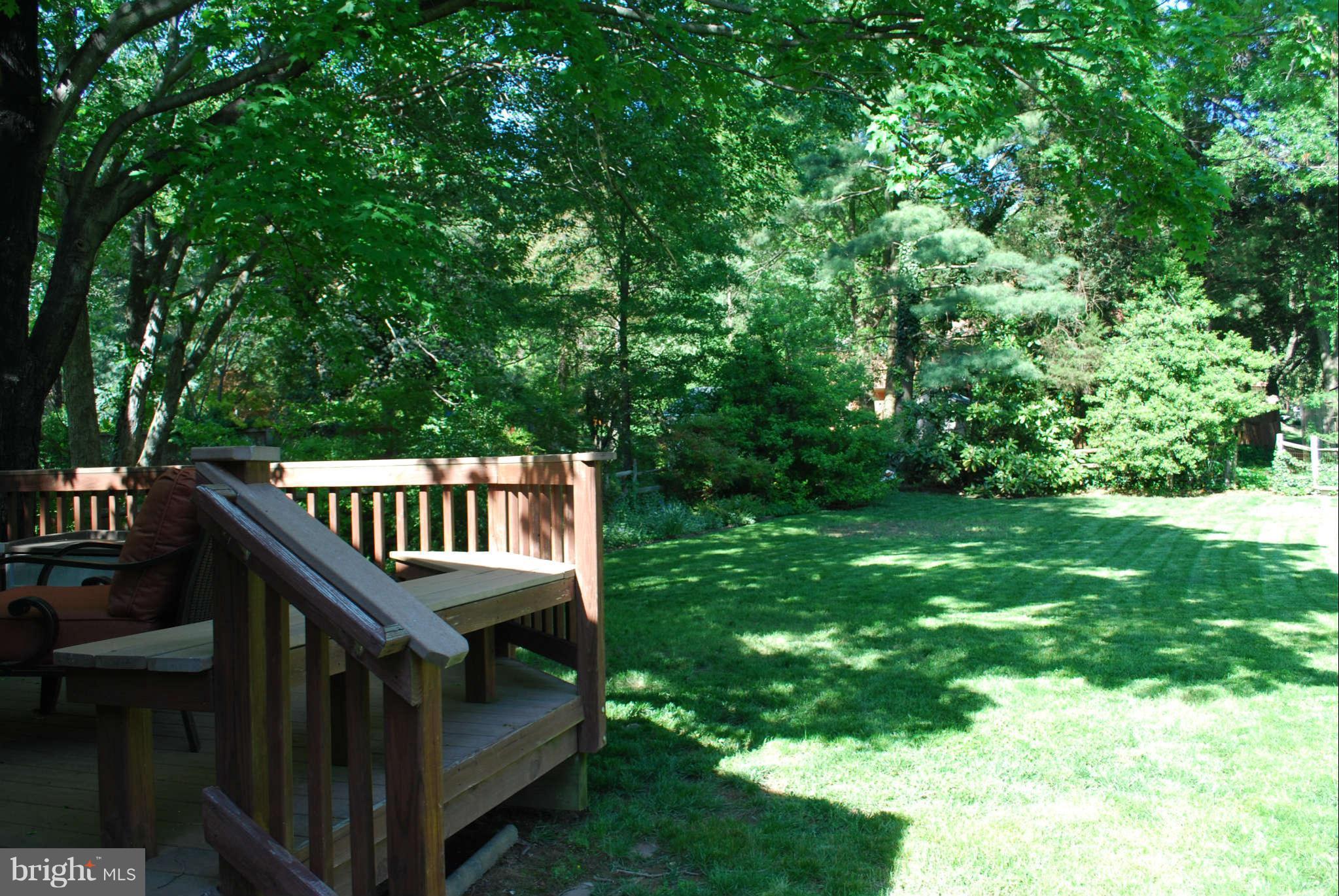 7609 Range Road Alexandria, VA 22306 - Photo 22 of 30 Huge Lush Back Yard