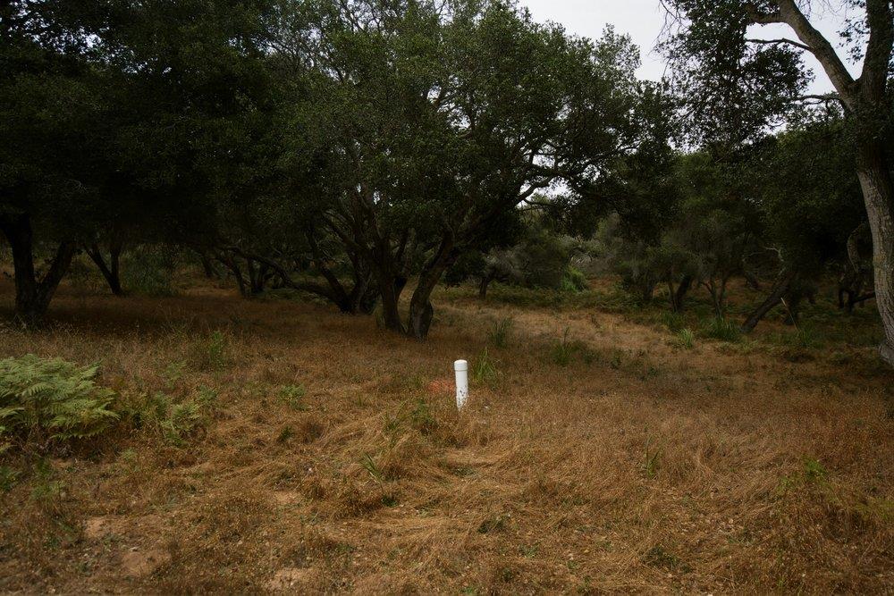 0 Valle Pacifico Road Salinas, CA 93907 - Photo 15 of 45