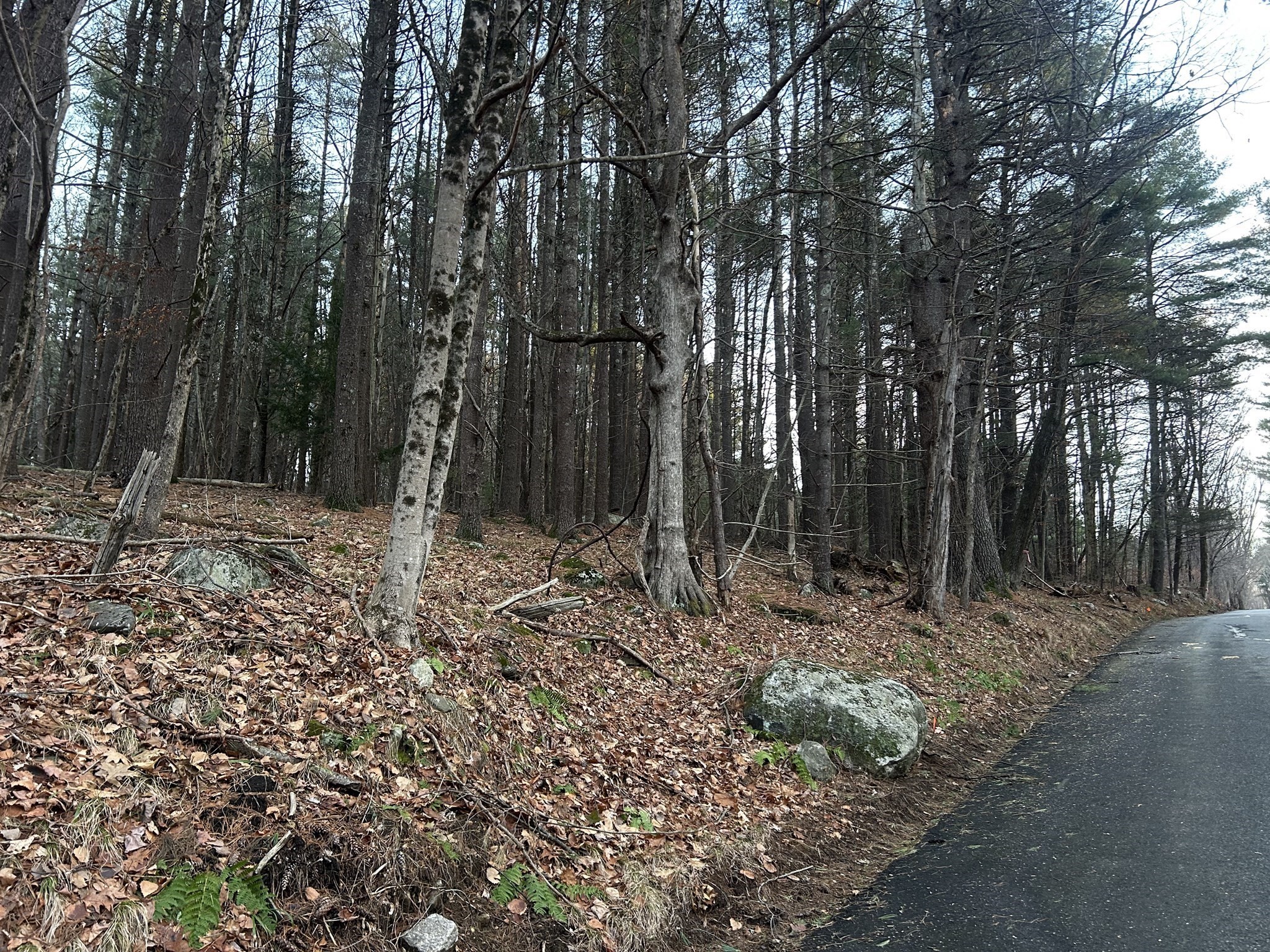 30 South Road Sturbridge, MA 01566 - Photo 1 of 7 Gallery Image 1