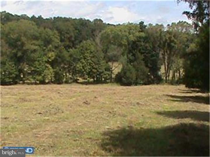 0 Permanent School Road, Unit 59 Erwinna, PA 18920 - Photo 11 of 24 Gallery Image 11