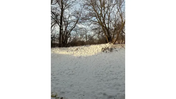 a view of a backyard with a trees