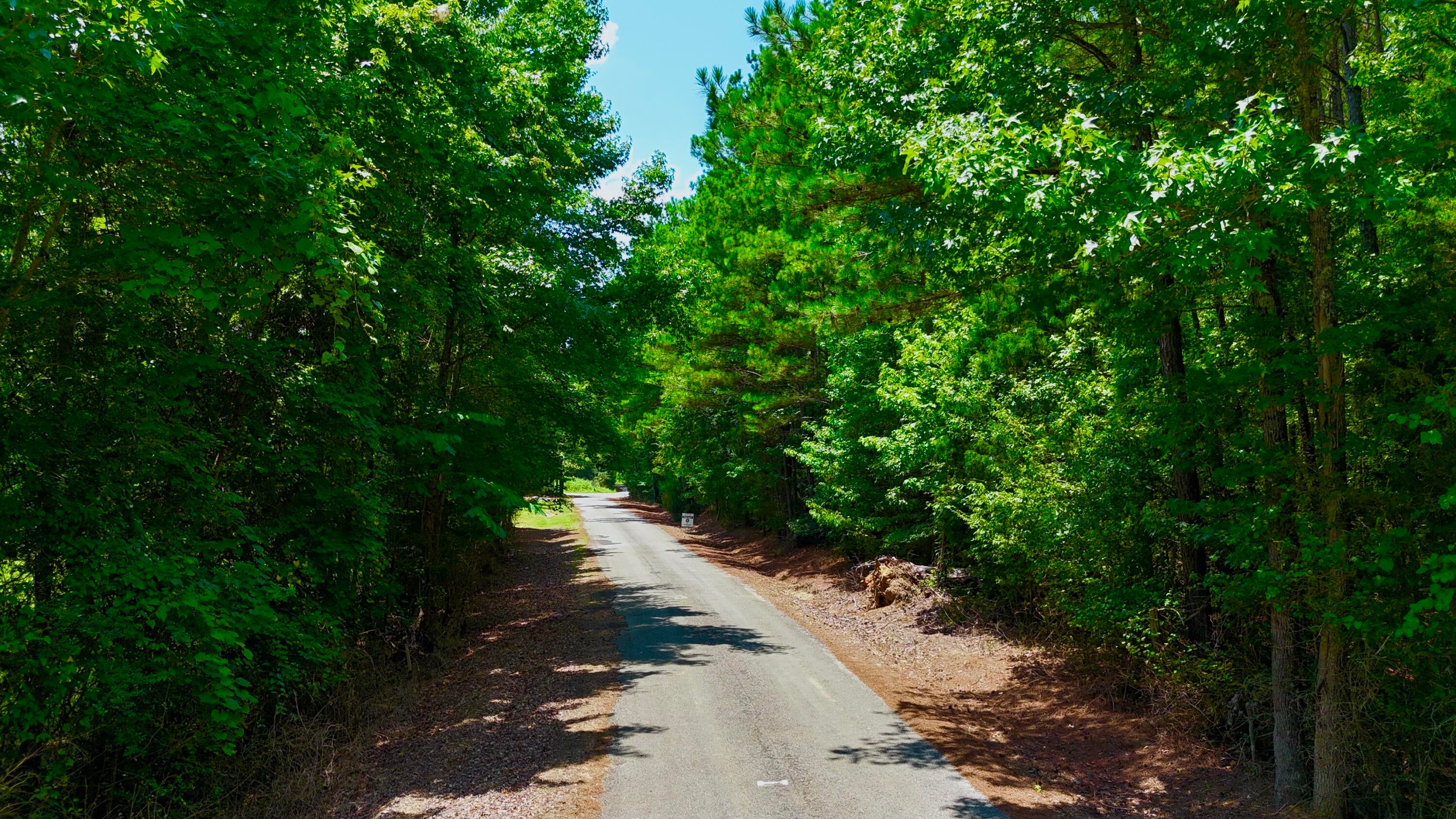 Lot 6 Old Morris Road Eupora, MS 39744 - Photo 12 of 23 Gallery Image 12