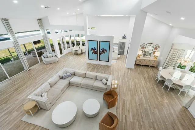 a view of a garden with plants