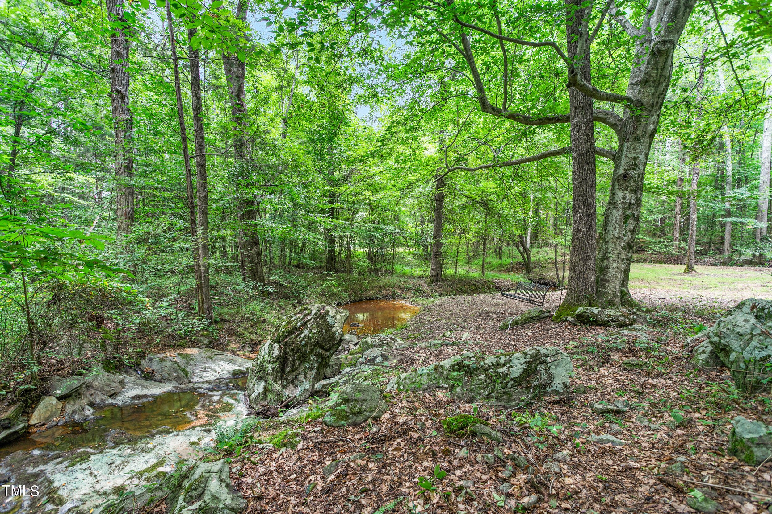 8801 Highway 157 Rougemont, NC 27572 - Photo 52 of 60 a view of a forest with trees