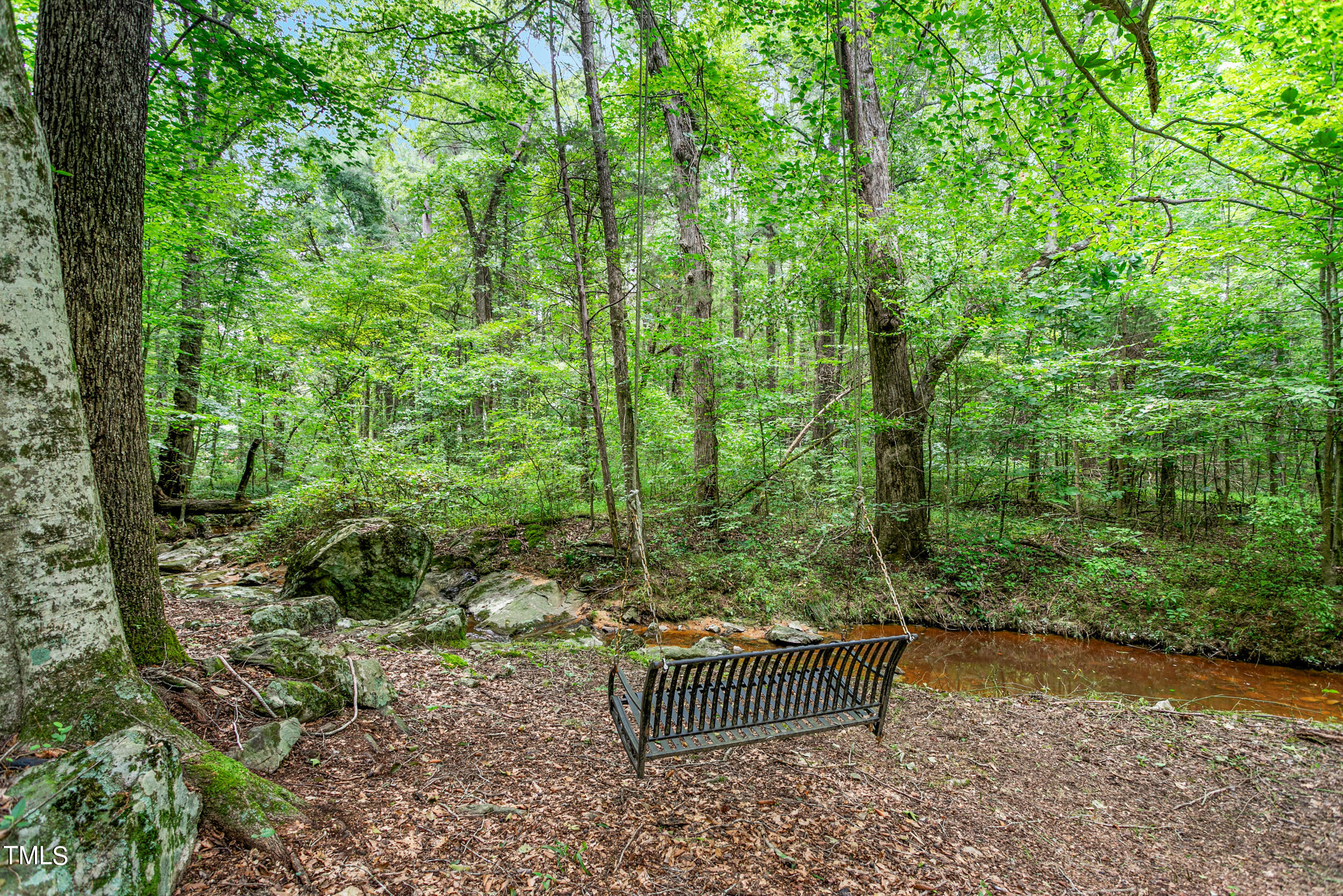 8801 Highway 157 Rougemont, NC 27572 - Photo 53 of 60 8801 NC-157-53