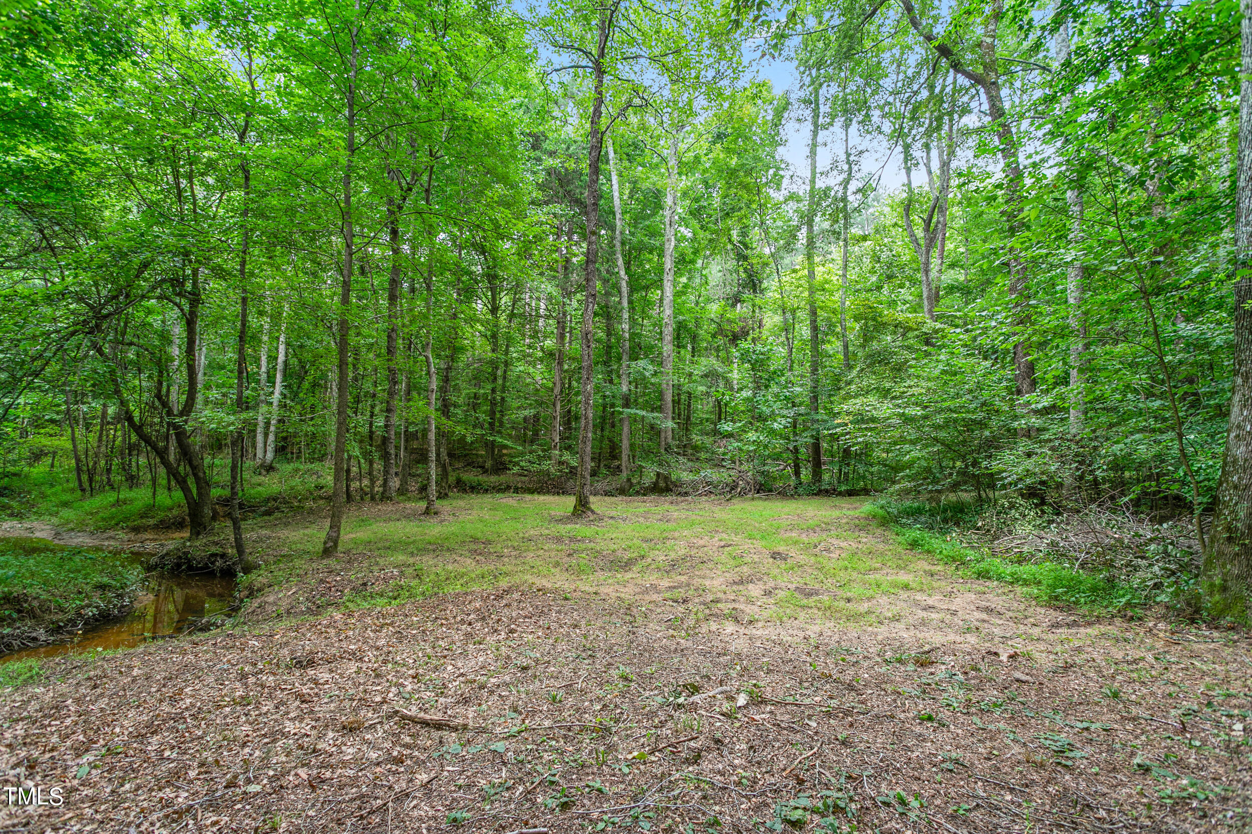 8801 Highway 157 Rougemont, NC 27572 - Photo 54 of 60 8801 NC-157-54