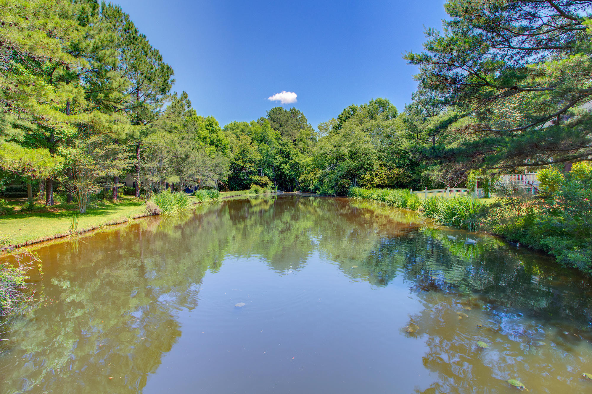 110 Old Postern Road Summerville, SC 29483 - Photo 61 of 66 5