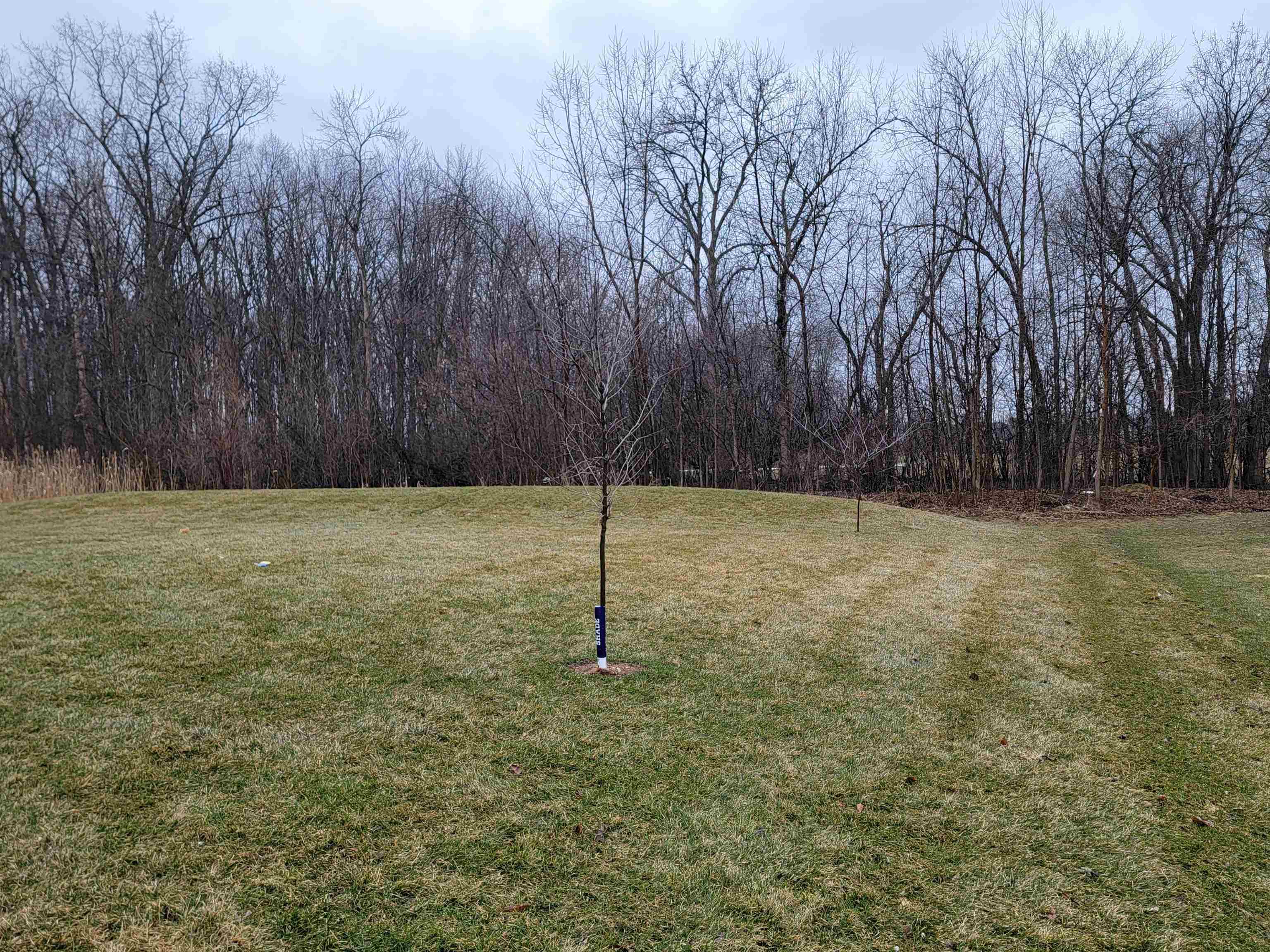 N9039 Spring Valley Road Menasha, WI 54952 - Photo 5 of 35